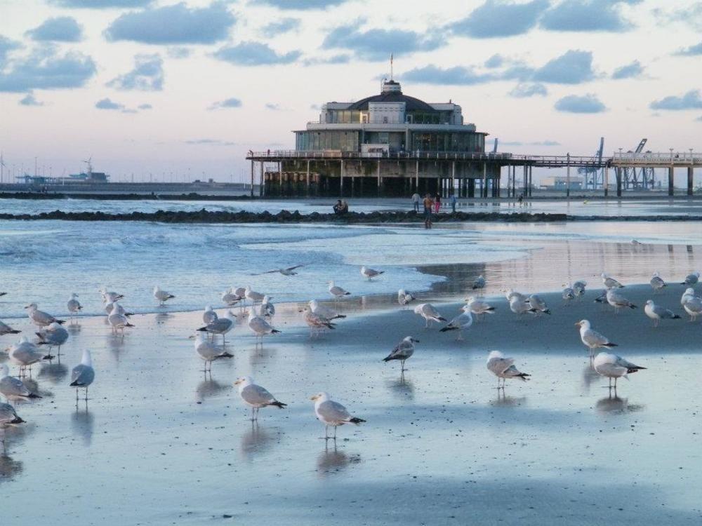 Готель Seaside Бланкенберге Екстер'єр фото